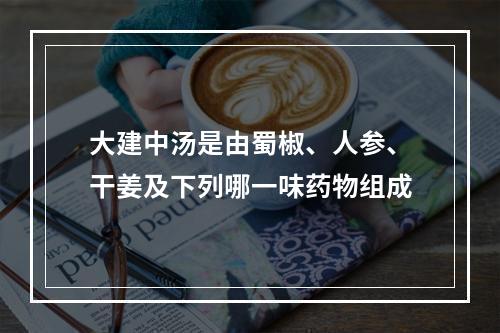 大建中汤是由蜀椒、人参、干姜及下列哪一味药物组成