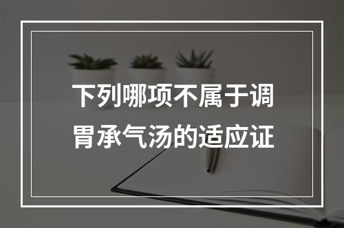 下列哪项不属于调胃承气汤的适应证