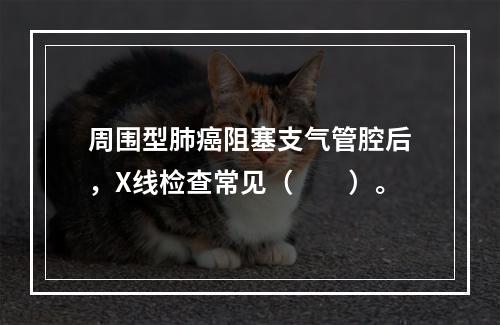 周围型肺癌阻塞支气管腔后，X线检查常见（　　）。