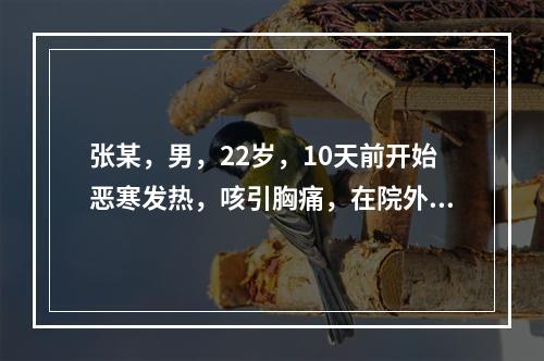 张某，男，22岁，10天前开始恶寒发热，咳引胸痛，在院外作感