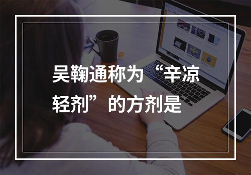 吴鞠通称为“辛凉轻剂”的方剂是