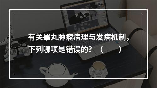 有关睾丸肿瘤病理与发病机制，下列哪项是错误的？（　　）