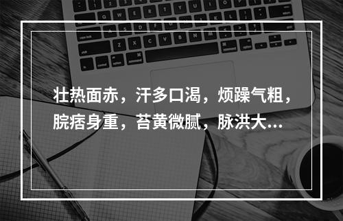 壮热面赤，汗多口渴，烦躁气粗，脘痞身重，苔黄微腻，脉洪大滑数