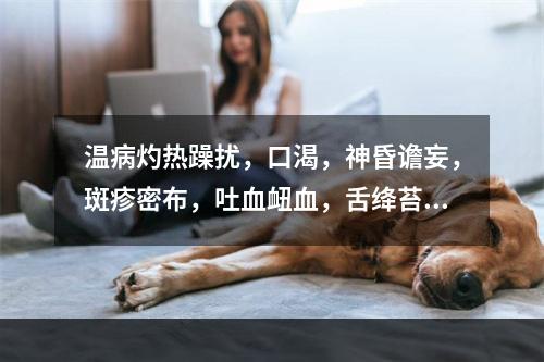 温病灼热躁扰，口渴，神昏谵妄，斑疹密布，吐血衄血，舌绛苔焦，