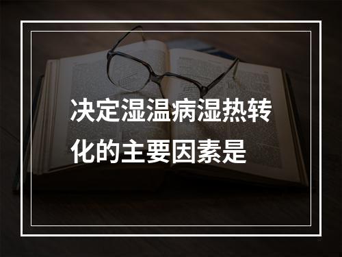 决定湿温病湿热转化的主要因素是