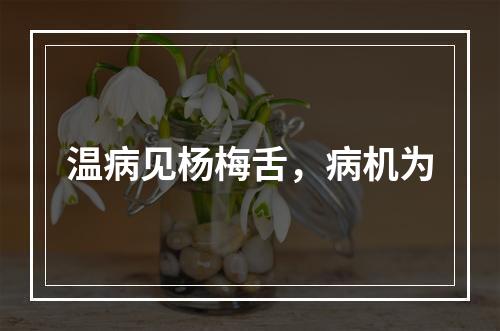 温病见杨梅舌，病机为