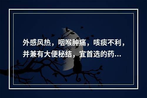 外感风热，咽喉肿痛，咳痰不利，并兼有大便秘结，宜首选的药物是