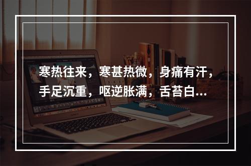 寒热往来，寒甚热微，身痛有汗，手足沉重，呕逆胀满，舌苔白厚腻