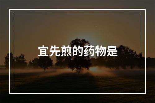 宜先煎的药物是