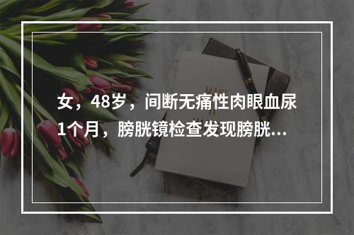 女，48岁，间断无痛性肉眼血尿1个月，膀胱镜检查发现膀胱左后