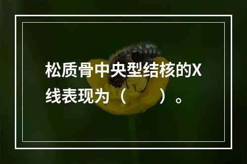 松质骨中央型结核的X线表现为（　　）。