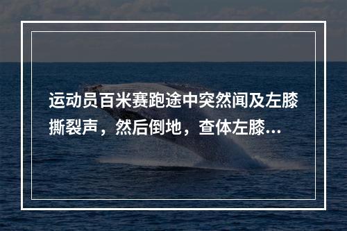 运动员百米赛跑途中突然闻及左膝撕裂声，然后倒地，查体左膝不能