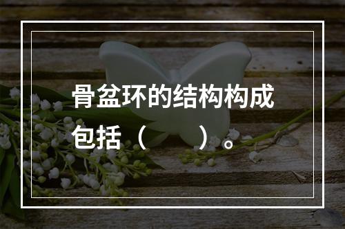 骨盆环的结构构成包括（　　）。