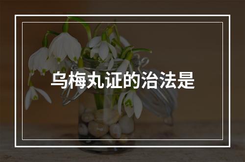 乌梅丸证的治法是