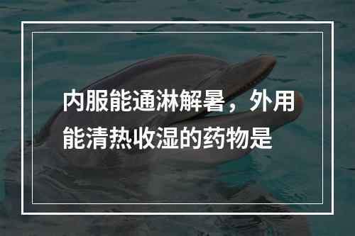 内服能通淋解暑，外用能清热收湿的药物是