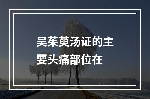 吴茱萸汤证的主要头痛部位在