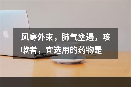 风寒外束，肺气壅遏，咳嗽者，宜选用的药物是