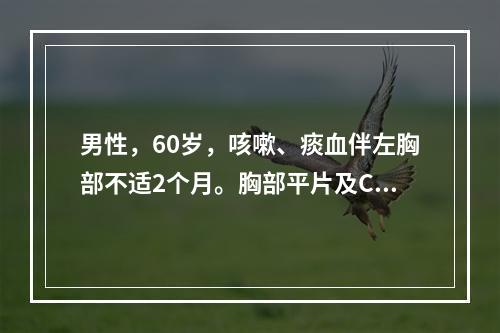 男性，60岁，咳嗽、痰血伴左胸部不适2个月。胸部平片及CT检