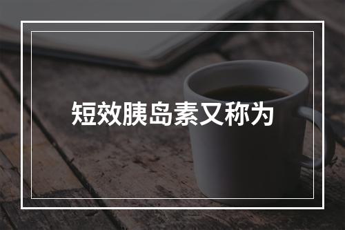 短效胰岛素又称为