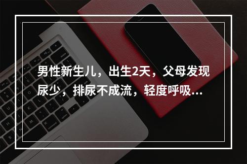 男性新生儿，出生2天，父母发现尿少，排尿不成流，轻度呼吸困难