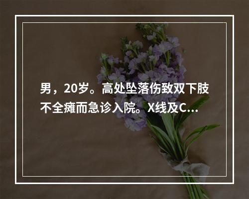 男，20岁。高处坠落伤致双下肢不全瘫而急诊入院。X线及CT证