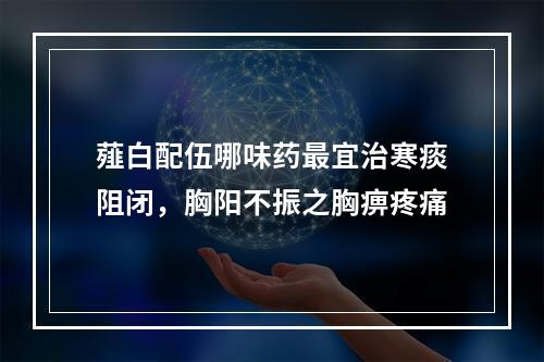 薤白配伍哪味药最宜治寒痰阻闭，胸阳不振之胸痹疼痛