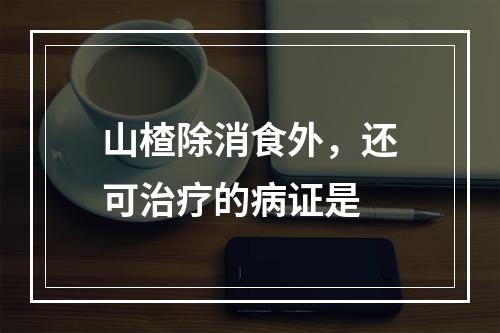 山楂除消食外，还可治疗的病证是