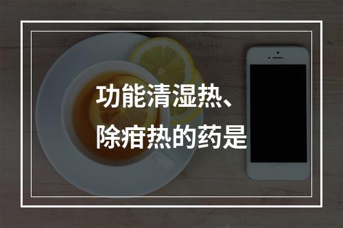 功能清湿热、除疳热的药是