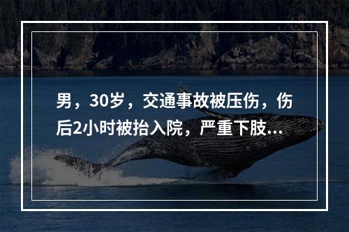 男，30岁，交通事故被压伤，伤后2小时被抬入院，严重下肢挤压