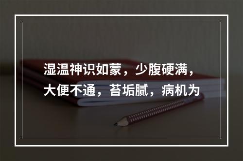 湿温神识如蒙，少腹硬满，大便不通，苔垢腻，病机为