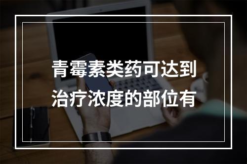 青霉素类药可达到治疗浓度的部位有