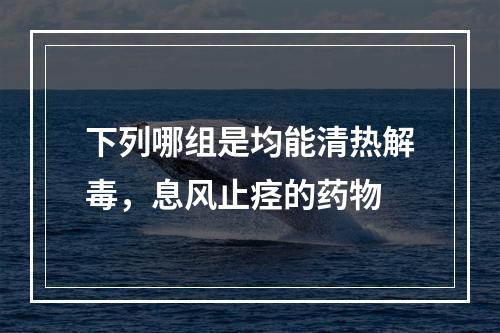 下列哪组是均能清热解毒，息风止痉的药物