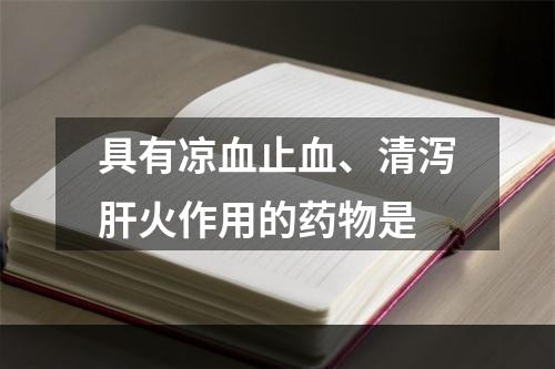 具有凉血止血、清泻肝火作用的药物是