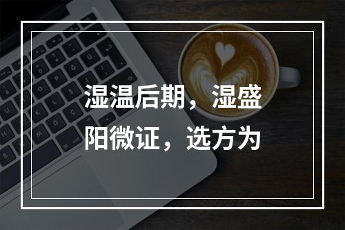 湿温后期，湿盛阳微证，选方为