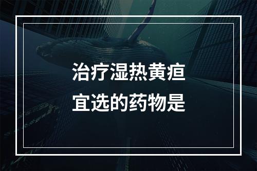 治疗湿热黄疸宜选的药物是