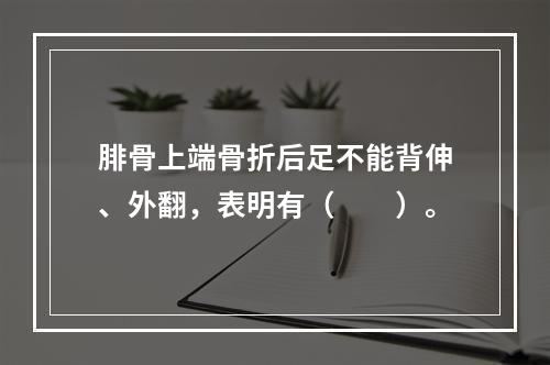 腓骨上端骨折后足不能背伸、外翻，表明有（　　）。