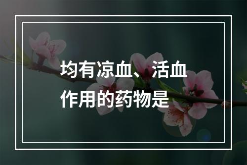 均有凉血、活血作用的药物是