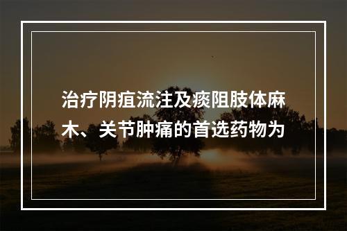 治疗阴疽流注及痰阻肢体麻木、关节肿痛的首选药物为