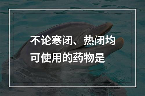 不论寒闭、热闭均可使用的药物是