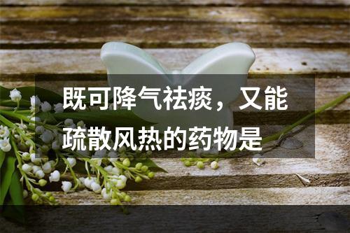 既可降气祛痰，又能疏散风热的药物是