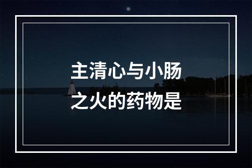 主清心与小肠之火的药物是