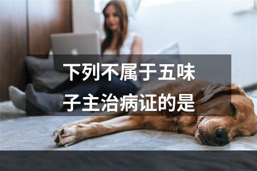 下列不属于五味子主治病证的是