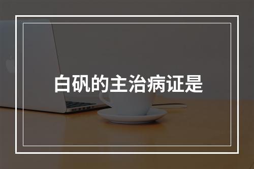 白矾的主治病证是