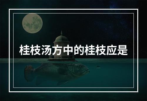 桂枝汤方中的桂枝应是