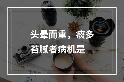 头晕而重，痰多苔腻者病机是