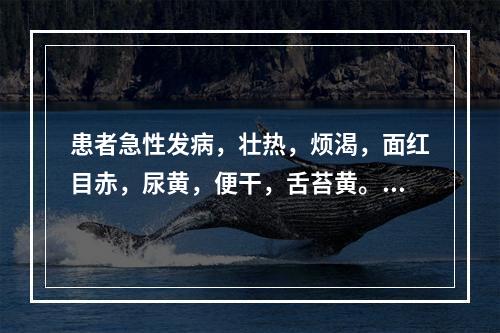 患者急性发病，壮热，烦渴，面红目赤，尿黄，便干，舌苔黄。其病