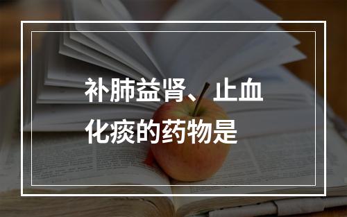 补肺益肾、止血化痰的药物是