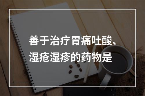 善于治疗胃痛吐酸、湿疮湿疹的药物是