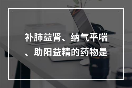 补肺益肾、纳气平喘、助阳益精的药物是