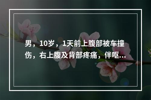 男，10岁，1天前上腹部被车撞伤，右上腹及背部疼痛，伴呕吐少